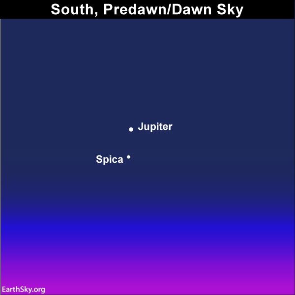 Jupiter and Spica, the brightest star in the constellation Virgo, will pair up in the sky for months to come.
