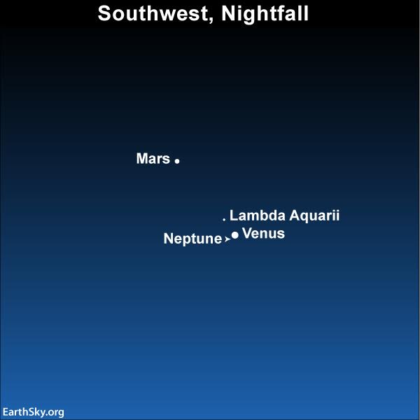 As dusk turns to darkness, look for the red planet Mars to pop out above Venus. The faint naked-eye star will be harder to catch. You actually need an optical aid to see the planet Neptune, but it'll be hard to spot in Venus' glare tonight.