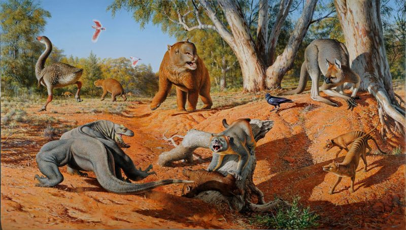 Early humans wiped out big animals in Australia | Earth | EarthSky