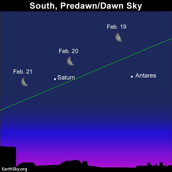 The moon moves eastward in front of the backdrop stars (and planets) at about 13 degrees per day or by its own diameter (1/2 degree) per hour.