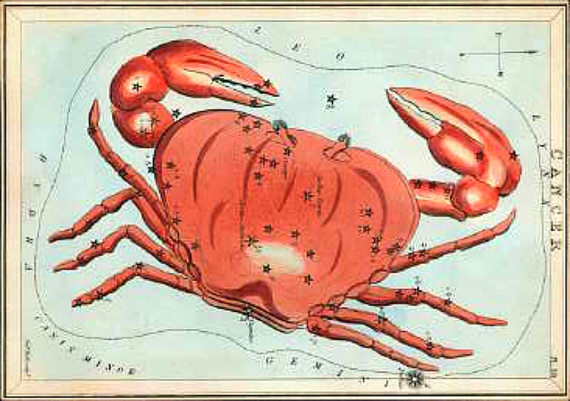 Antique etching of large red crab on star chart sprinkled with black stars of constellation.