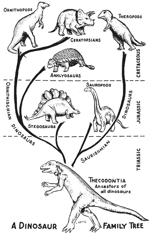 dinosaur-evolution