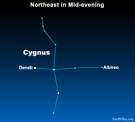 Chart of wide roughly cross-shaped constellation with Deneb marked at one end and Albireo at the other.