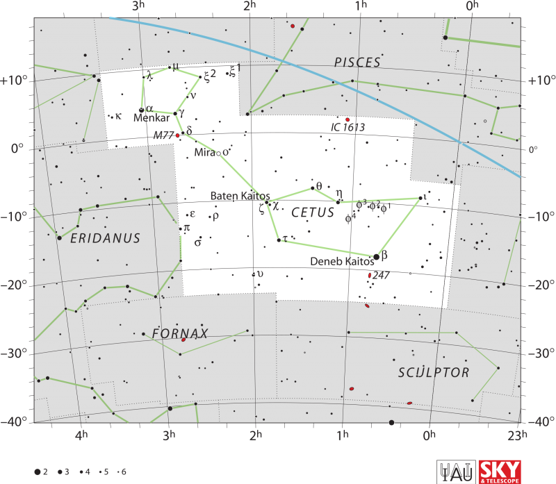 Star chart with stars in black on white with constellation Cetus.