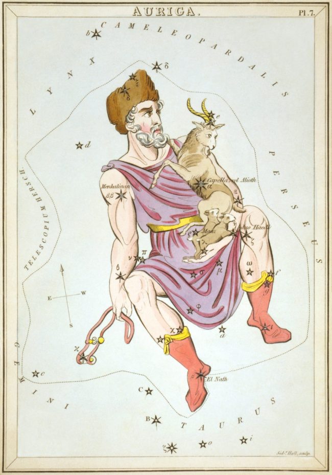 Drawing of Auriga the Charioteer, sitting and holding animals.