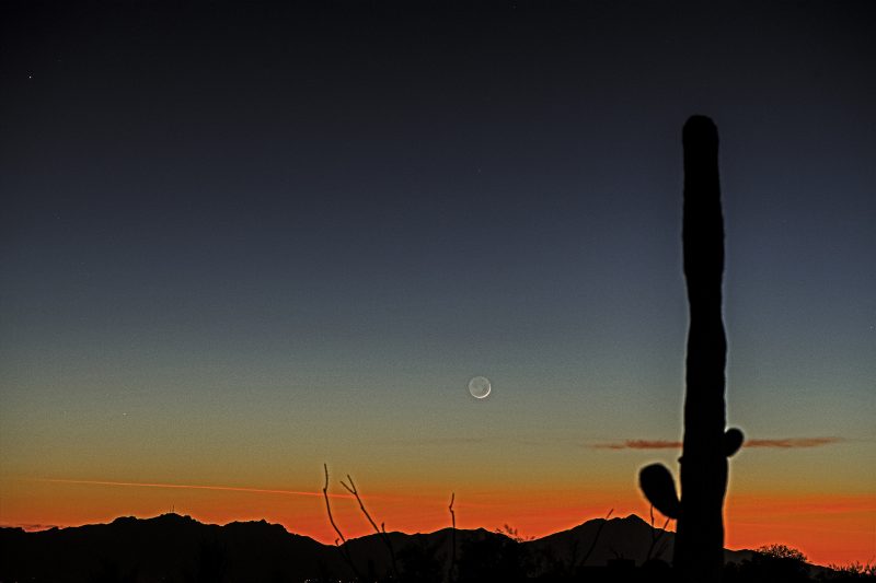 Small moon, with two dots, in deep blue sky above red sunset; tall saguaro cactus at right.