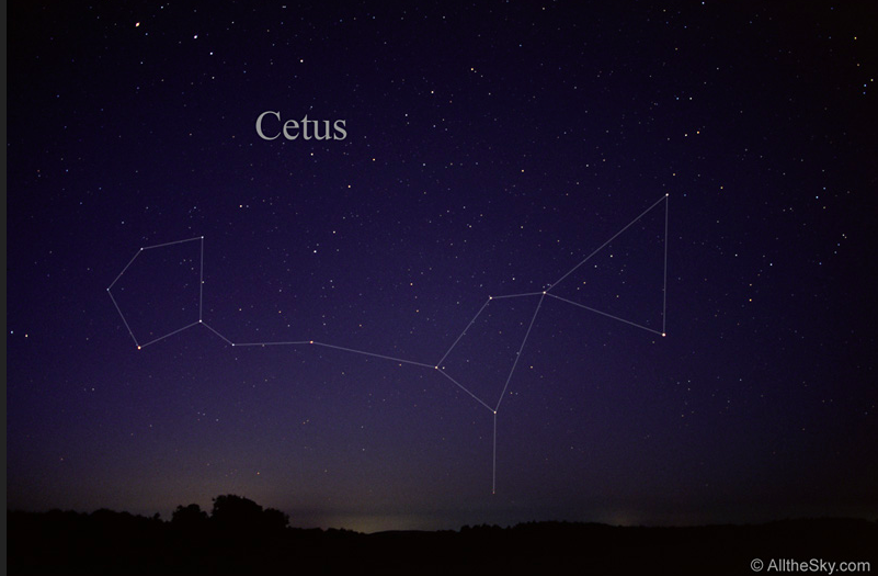 A photograph of the constellation Cetus the Whale, via <a href="https://www.allthesky.com/constellations/visualconstellations.html" target="_blank" rel="noopener">Till Credner</a>
