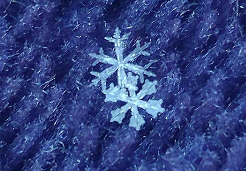 Two coarse-looking flakes.