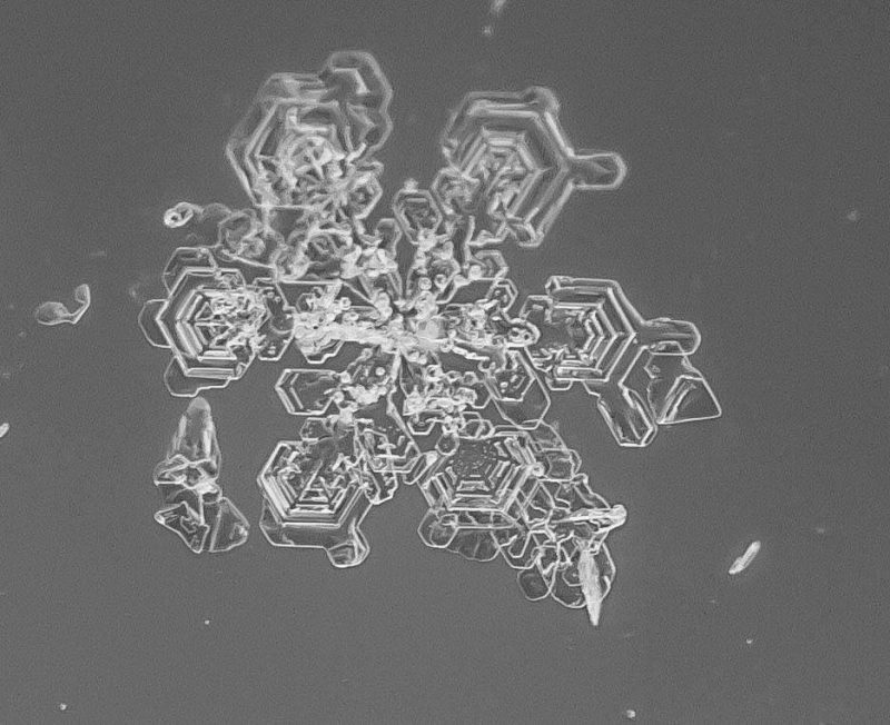 Irregular snowflake.