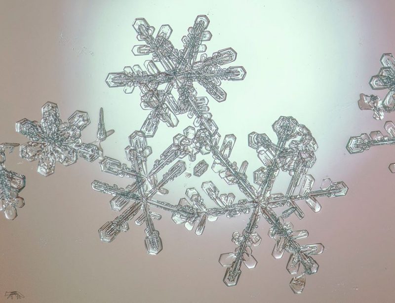 What makes a snowflake special?, News