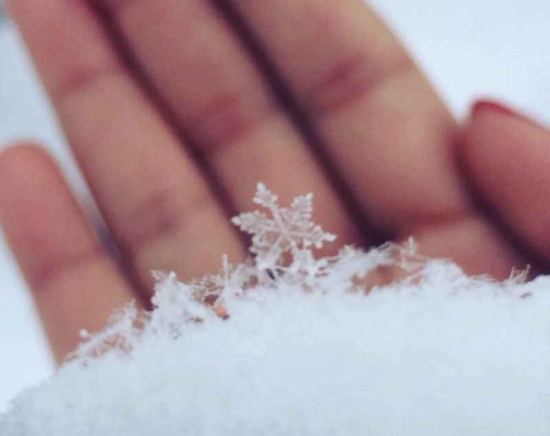 Pine-tree-armed snowflake on bare fingers.