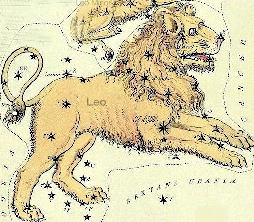 Old-fashioned drawing of a big yellow Lion with the constellation's stars throughout it.