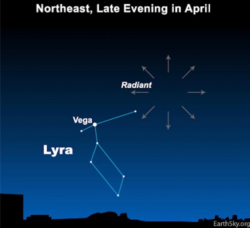 Chart showing Lyra, Vega, and radial arrows from Lyrid meteor shower radiant point.