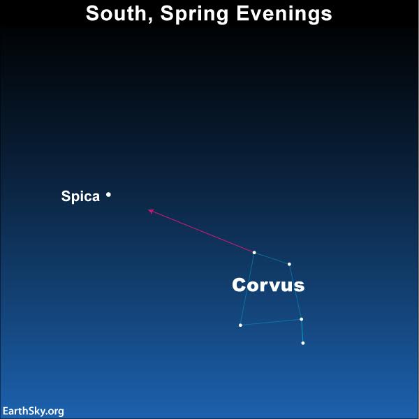 Sky chart of constellation Corvus with line between two stars extending to Spica.