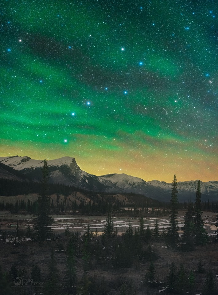 Big Dipper shining brightly in green night sky over mountains with evergreens in foreground.