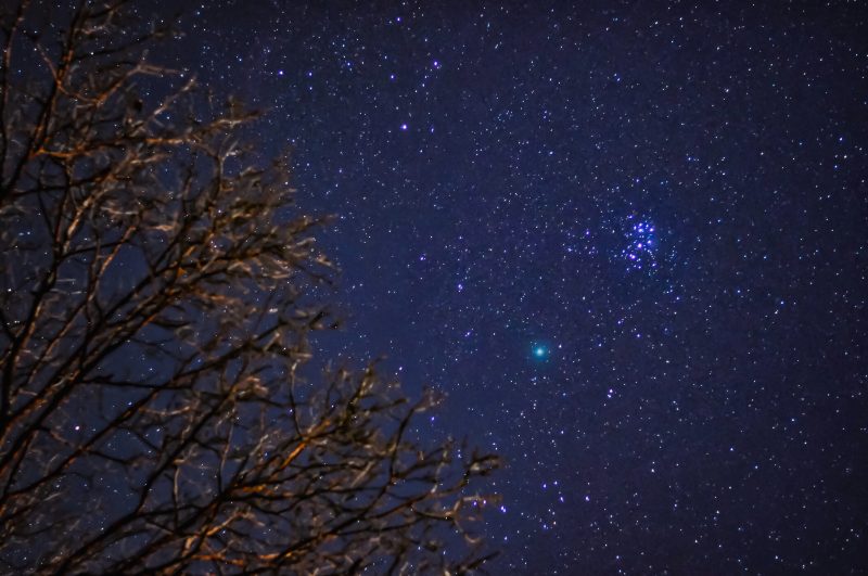 See it! Images of comet 46P/Wirtanen | Today's Image | EarthSky