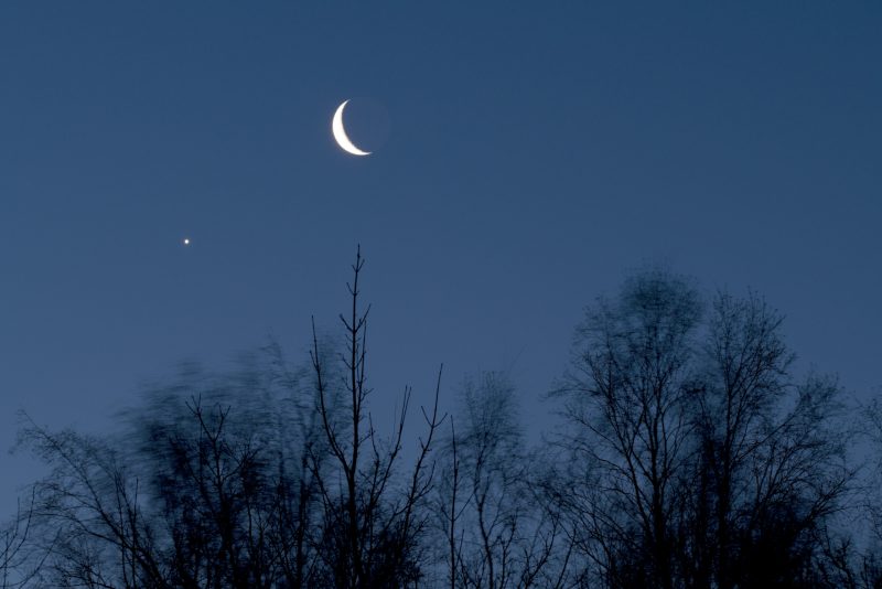 Photo of Venus and the moon with bare trees silhouette  above Anchorage, Alaska on January 1, 2019 by Doug Short.