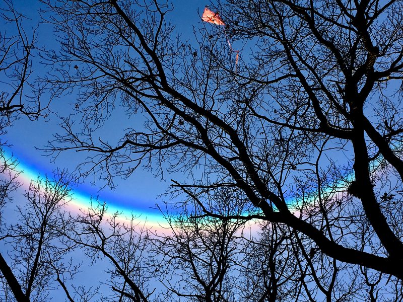 A rainbow-like arc in the sky, with red on the bottom of the arc, behind a tree.