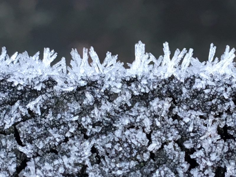Close-up of tiny frost crystals on wood