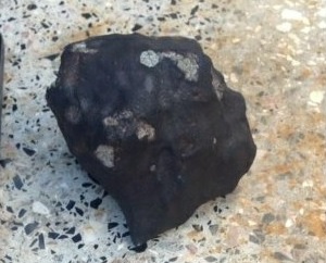 A lumpy black rock with small white patches, against a lighter background.