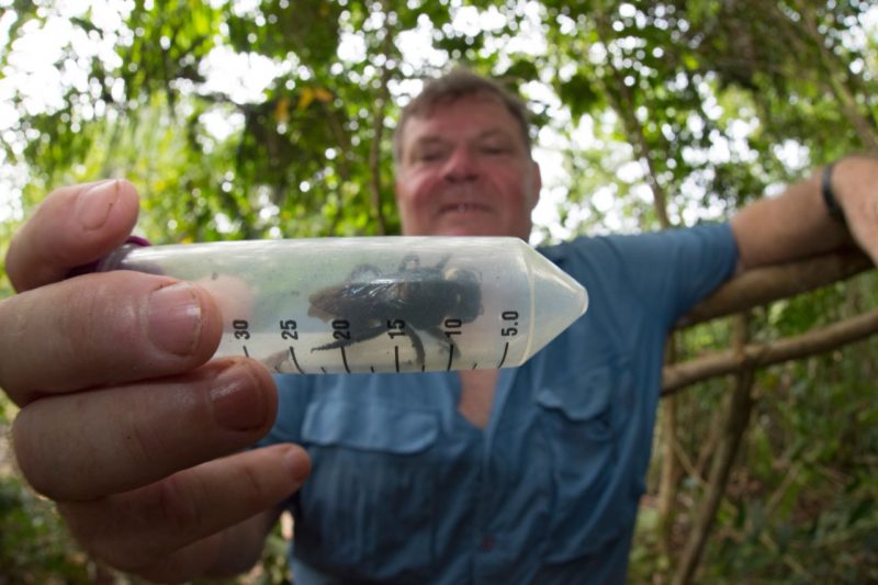 Man holding a large test tube with black bee inside it.