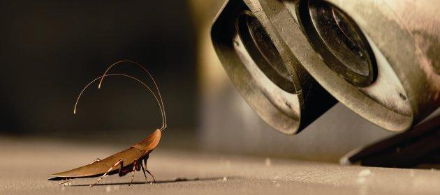 Robot's close-up eyes looking at a cute cartoon roach.