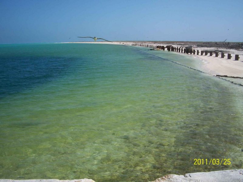 Beach and calm, shallow ocean water, no surf, water a pale green color.