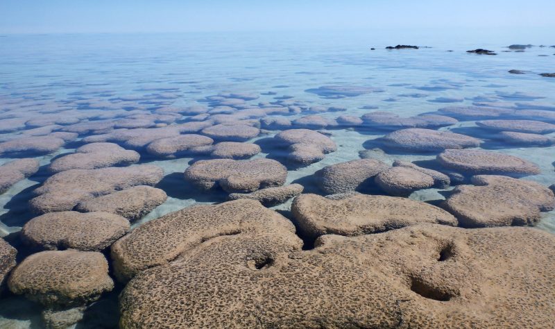 Large, flattish rocks in shallow blue water.