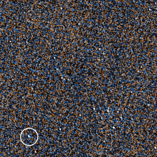 A very granulated image of a star field - many little dots - with the bright dot that is the white dwarf circled.