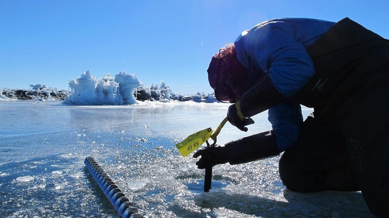 Scientist Becky Goodsell kneeling and peering at seismometer on icy landscape with pools of water.