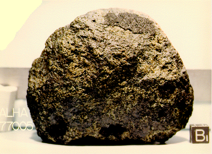 Roundish, dark irregular rock..