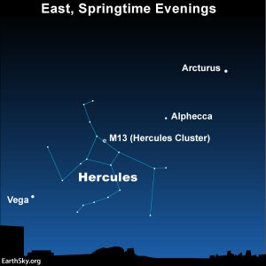 Find Hercules between two bright stars |  Tonight