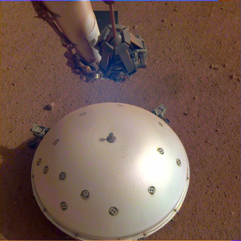 Shiny hemispherical white object with dark spots seen from above against red soil.