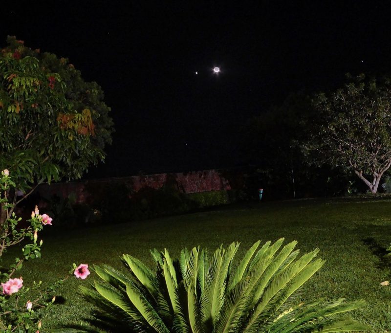 Dots of planets and a crescent moon behind a brightly lit garden.