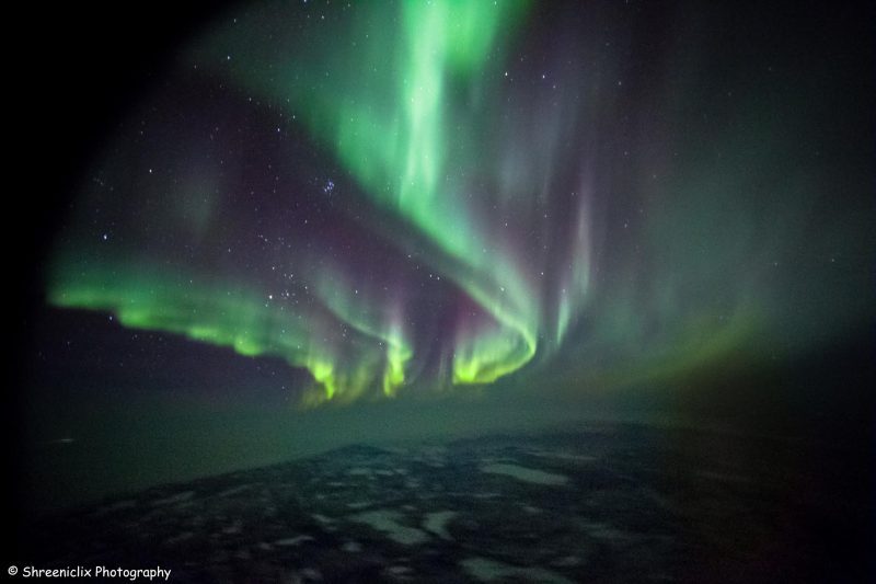 Aurora borealis, winding curtains of green light over icy sea.