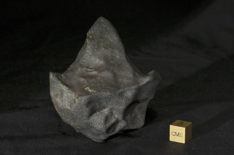 Arrowhead-shaped meteorite.