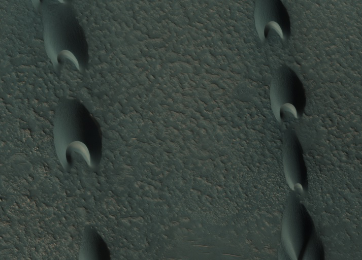 Pointed sand dunes, one end deeply indented.