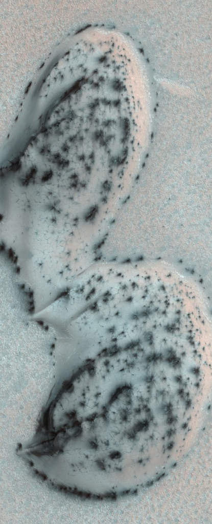 Elongated dune with many dark spots on lighter surface.