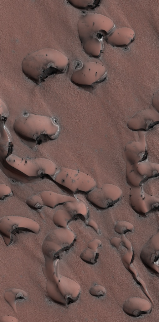 Reddish surface with large dunes with small, irregular dark spots on them.