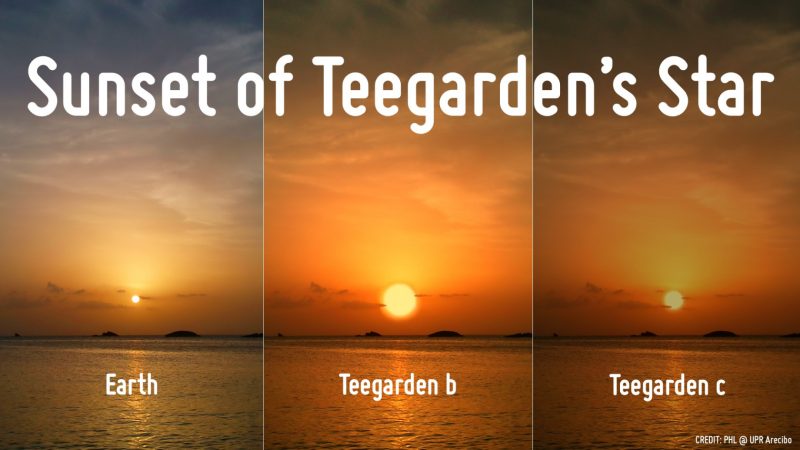 Teegarden's Star sunsets.