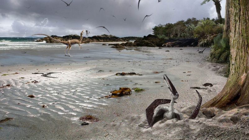 Small long-beaked pterodactyl in sand next to tree, others in sky, dinosaurs in background.
