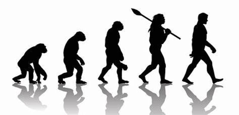 Silhouette of 5 walking figures from ape to modern man.