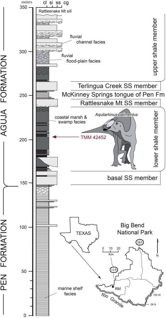 Fossil location on Rattlesnake Mountain with vertical chart of rock formations on left side of drawing.