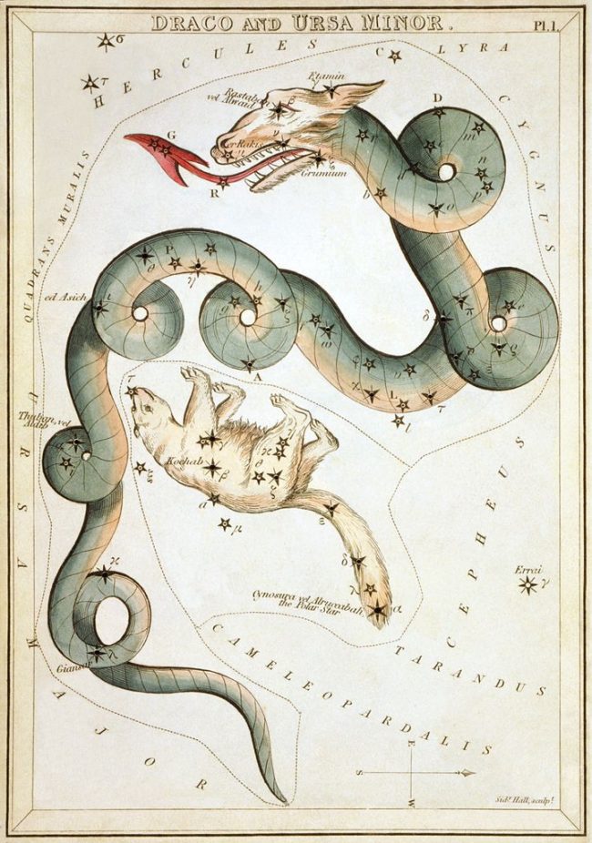 Eltanin and Rastaban: Drawing of a snake-like serpent with many coils.