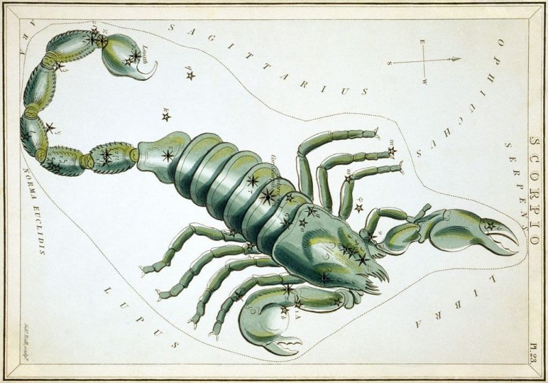 An antique painting of a green scorpion on a star chart.