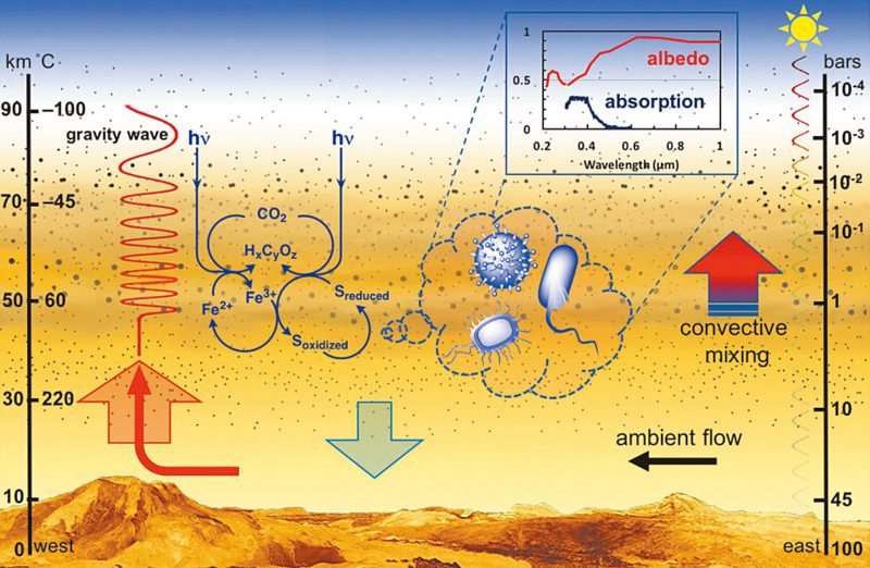 Could microbes be affecting Venus’ climate?