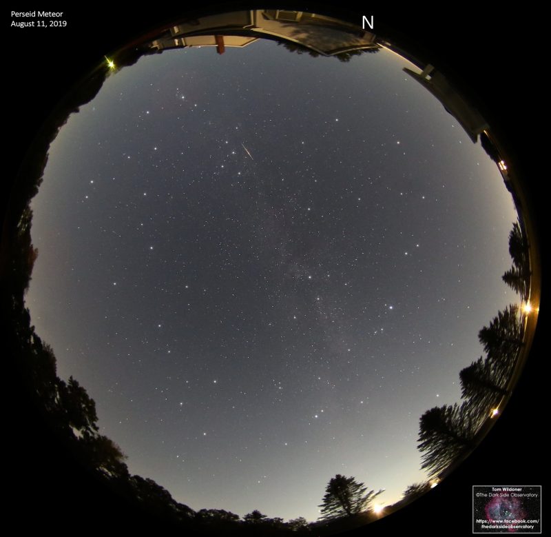 Circular photo of entire sky with stars and Milky Way and short bright streak above center.