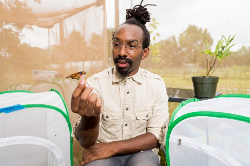 Inside a large screened enclosure, a man with a monarch butterfly on the tip of his finger.