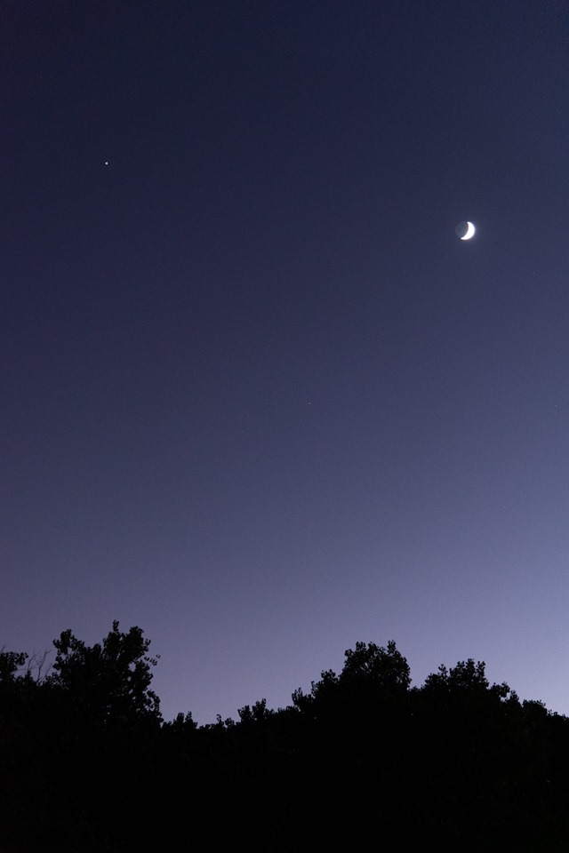 Crescent moon and small dot of Jupiter in late twilight sky above silhouetted treetops.
