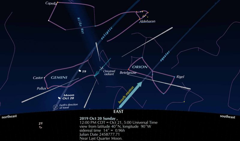 Chart showing eastern horizon as the Orionids' radiant point in the constellation Orion comes into view.